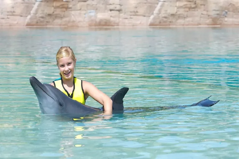 TÜRKLER DOLPHIN AND SEAL SHOW