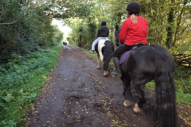 Türkler PAARDRIJDEN