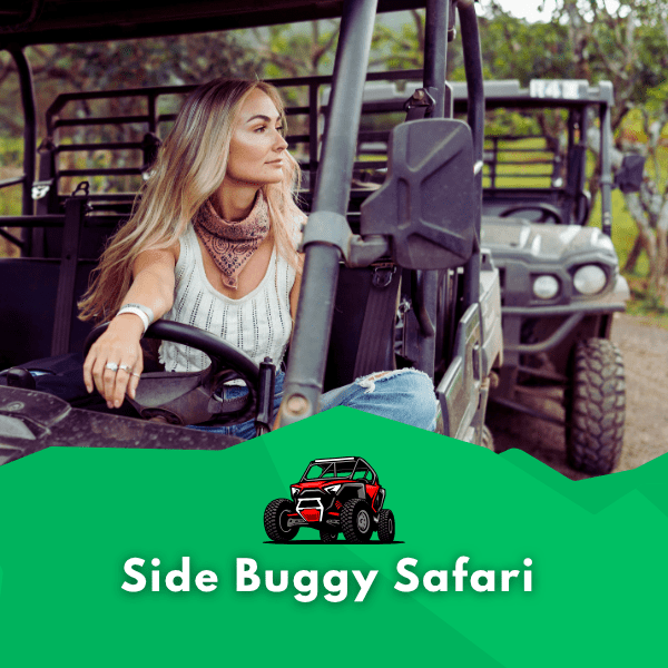 Side Buggy Safari Tour