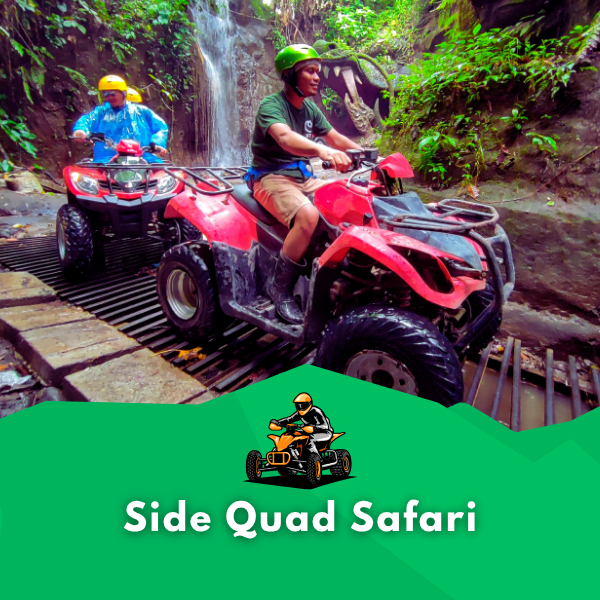 Side Quad safari