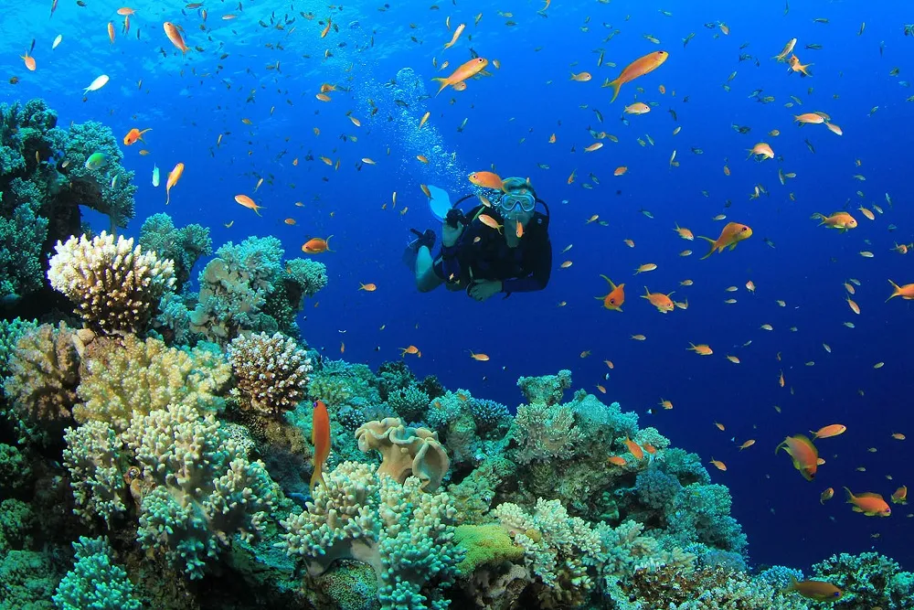 TÜRKLER SCUBA DIVING