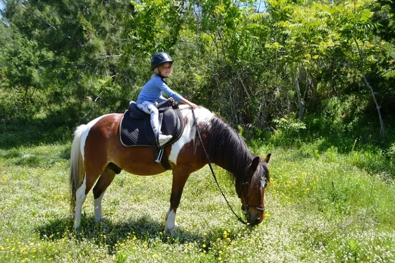 Türkler PAARDRIJDEN
