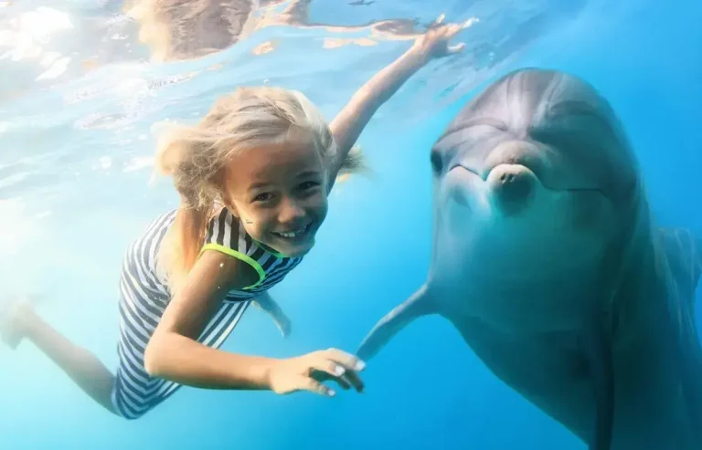 Antalya Dolphin and Seal Show