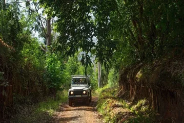 TÜRKLER JEEP SAFARI WYCIECZKA DO GÓR TAURUS (6 AKTYWNOŚCI W JEDNEJ PODRÓŻY)